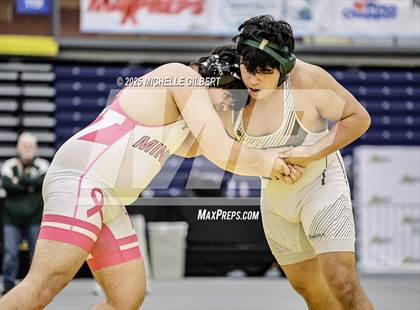 Thumbnail 2 in NYSPHSAA Wrestling Dual Finals D1 (Minisink Valley vs Farmingdale) photogallery.