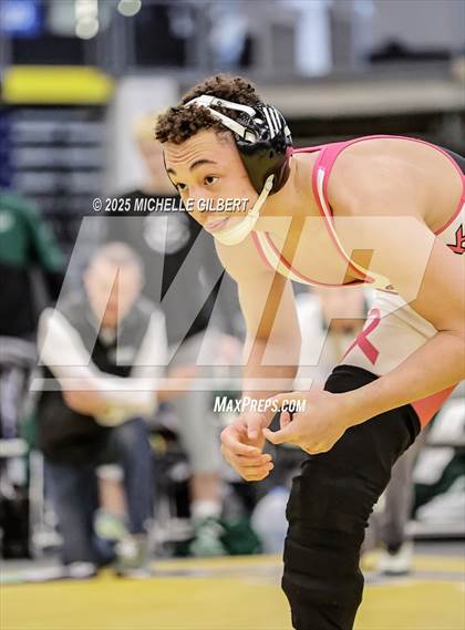 Thumbnail 2 in NYSPHSAA Wrestling Dual Finals D1 (Minisink Valley vs Farmingdale) photogallery.