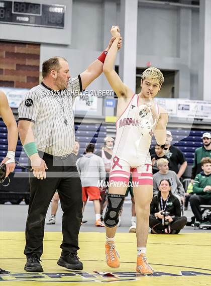 Thumbnail 3 in NYSPHSAA Wrestling Dual Finals D1 (Minisink Valley vs Farmingdale) photogallery.