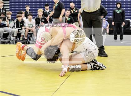Thumbnail 3 in NYSPHSAA Wrestling Dual Finals D1 (Minisink Valley vs Farmingdale) photogallery.