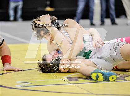 Thumbnail 2 in NYSPHSAA Wrestling Dual Finals D1 (Minisink Valley vs Farmingdale) photogallery.