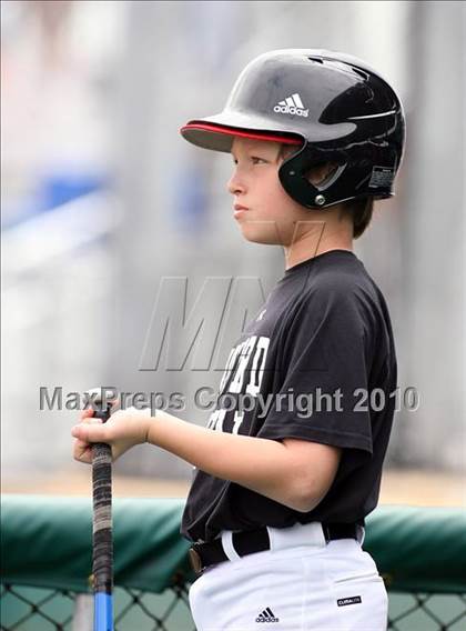 Thumbnail 1 in Crandall @ Lovejoy photogallery.