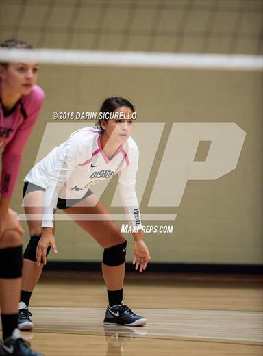 null - Photo 01