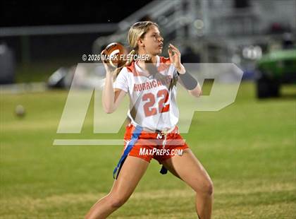 Thumbnail 3 in Mount Dora @ Pine Ridge photogallery.