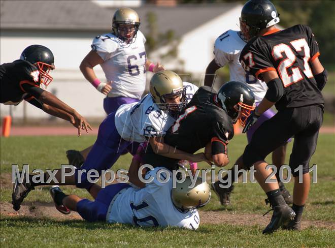 null - Photo 11