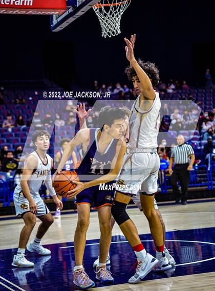 Thumbnail 1 in Cholla @ Salpointe Catholic photogallery.
