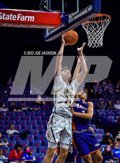 Thumbnail 3 in Cholla @ Salpointe Catholic photogallery.