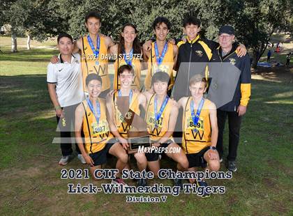 Thumbnail 1 in CIF State Cross Country Championships (Boys Awards) photogallery.