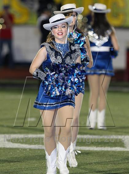 Thumbnail 1 in L D Bell @ Grapevine photogallery.
