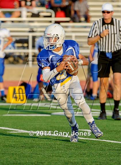 Thumbnail 2 in Rocklin @ Del Campo photogallery.