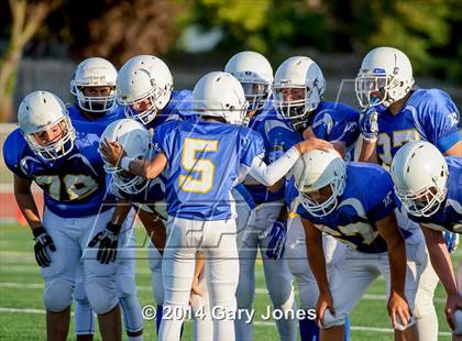 Thumbnail 3 in Rocklin @ Del Campo photogallery.