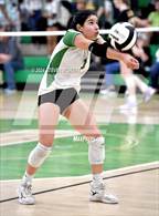 Photo from the gallery "Apex @ Cary"