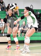 Photo from the gallery "Apex @ Cary"