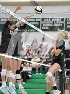 Photo from the gallery "Apex @ Cary"