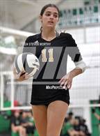Photo from the gallery "Apex @ Cary"