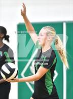 Photo from the gallery "Apex @ Cary"