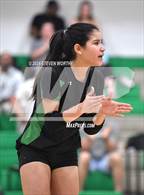 Photo from the gallery "Apex @ Cary"