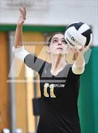 Photo from the gallery "Apex @ Cary"