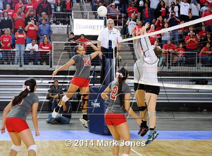 Thumbnail 1 in Monument Valley vs. Cactus (AIA D3 Final) photogallery.