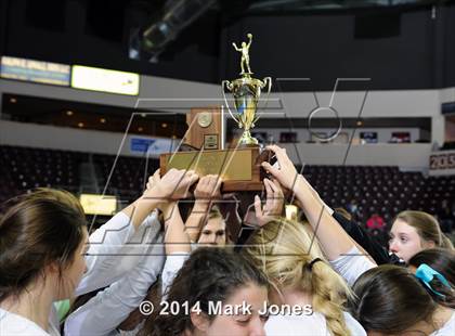 Thumbnail 1 in Monument Valley vs. Cactus (AIA D3 Final) photogallery.