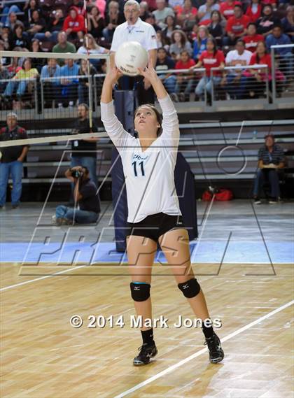 Thumbnail 1 in Monument Valley vs. Cactus (AIA D3 Final) photogallery.