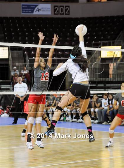 Thumbnail 1 in Monument Valley vs. Cactus (AIA D3 Final) photogallery.