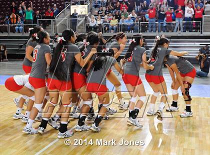 Thumbnail 2 in Monument Valley vs. Cactus (AIA D3 Final) photogallery.