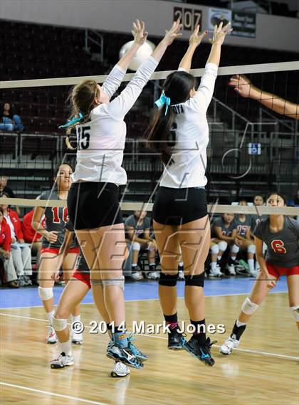 Thumbnail 1 in Monument Valley vs. Cactus (AIA D3 Final) photogallery.