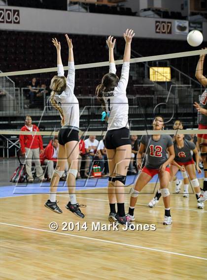 Thumbnail 2 in Monument Valley vs. Cactus (AIA D3 Final) photogallery.