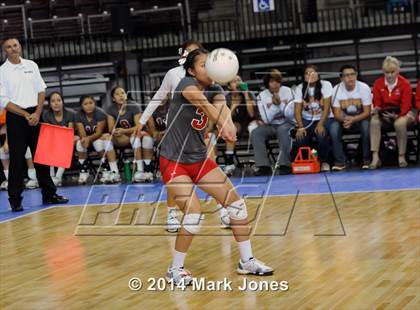 Thumbnail 1 in Monument Valley vs. Cactus (AIA D3 Final) photogallery.