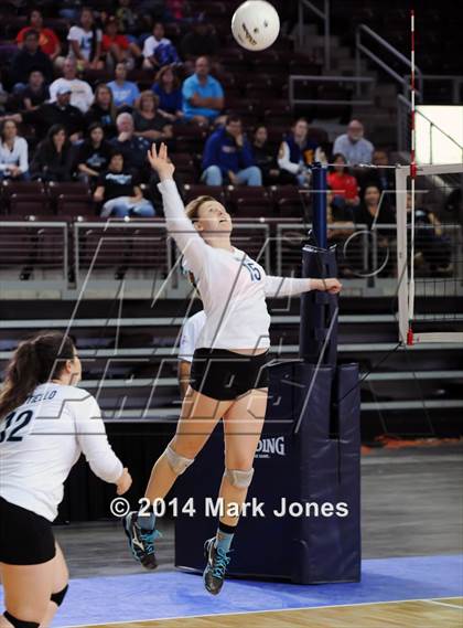 Thumbnail 1 in Monument Valley vs. Cactus (AIA D3 Final) photogallery.