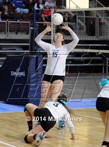 Thumbnail 1 in Monument Valley vs. Cactus (AIA D3 Final) photogallery.