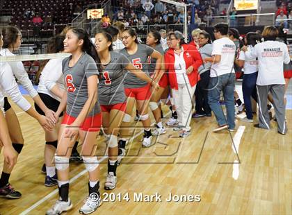 Thumbnail 1 in Monument Valley vs. Cactus (AIA D3 Final) photogallery.