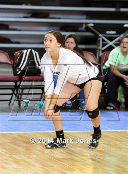 Thumbnail 3 in Monument Valley vs. Cactus (AIA D3 Final) photogallery.