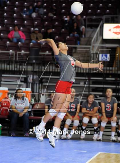 Thumbnail 1 in Monument Valley vs. Cactus (AIA D3 Final) photogallery.