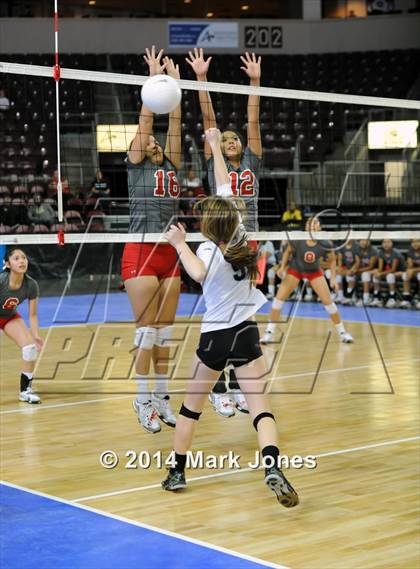 Thumbnail 1 in Monument Valley vs. Cactus (AIA D3 Final) photogallery.