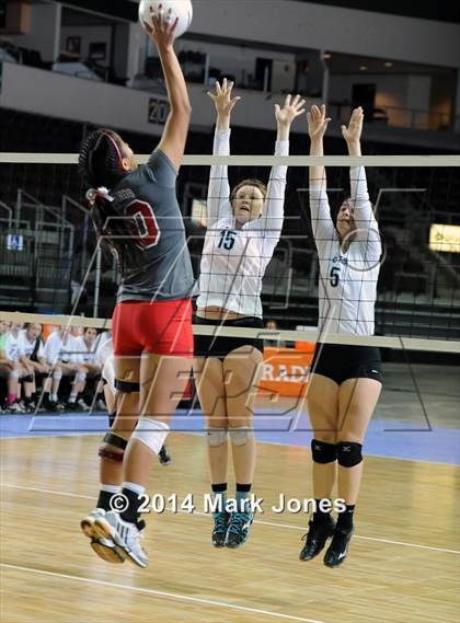 Thumbnail 2 in Monument Valley vs. Cactus (AIA D3 Final) photogallery.