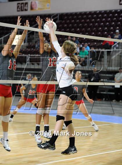 Thumbnail 2 in Monument Valley vs. Cactus (AIA D3 Final) photogallery.