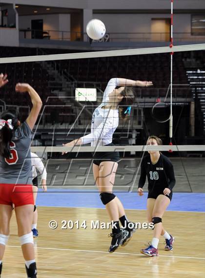 Thumbnail 3 in Monument Valley vs. Cactus (AIA D3 Final) photogallery.