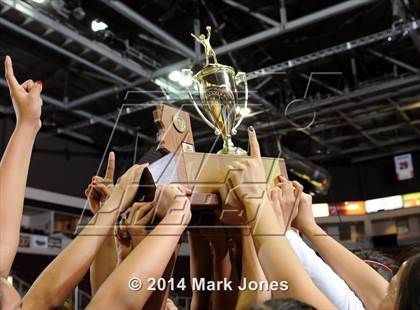 Thumbnail 1 in Monument Valley vs. Cactus (AIA D3 Final) photogallery.