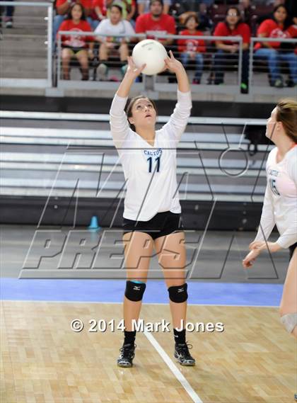 Thumbnail 3 in Monument Valley vs. Cactus (AIA D3 Final) photogallery.