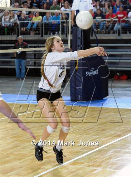 Thumbnail 1 in Monument Valley vs. Cactus (AIA D3 Final) photogallery.