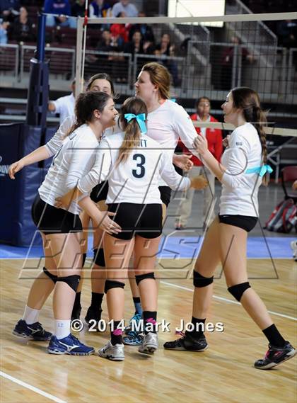 Thumbnail 3 in Monument Valley vs. Cactus (AIA D3 Final) photogallery.