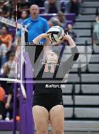 Photo from the gallery "New Lexington vs Marietta (OHSAA D2 District)"
