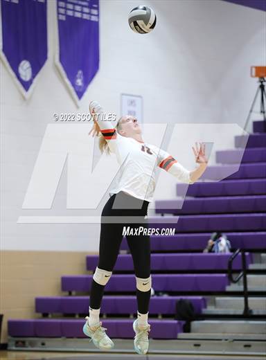 null - Photo 01