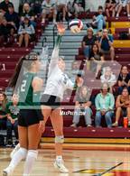 Photo from the gallery "Fossil Ridge @ Rocky Mountain"