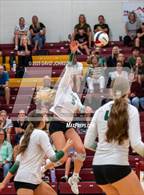 Photo from the gallery "Fossil Ridge @ Rocky Mountain"