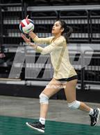 Photo from the gallery "Lone Peak vs. Davis (UHSAA 6A Second Round)"