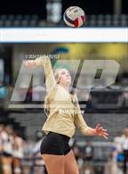 Photo from the gallery "Lone Peak vs. Davis (UHSAA 6A Second Round)"