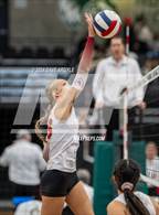 Photo from the gallery "Lone Peak vs. Davis (UHSAA 6A Second Round)"